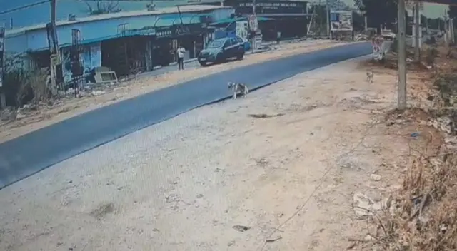 తెలంగాణ, జంతువులు, చట్టం