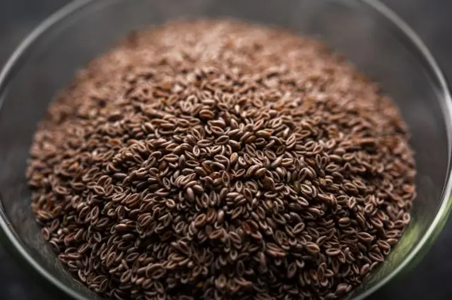 બીબીસી ગુજરાતી