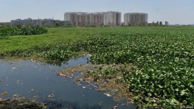 बंगळुरातलं पाणी प्रदूषण दिवसेंदिवस वाढत आहे.