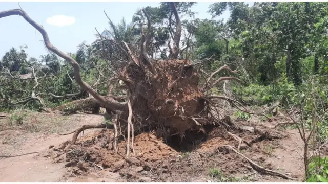 Oke osisi ifufe kwaturu n'obodo Ishiagu