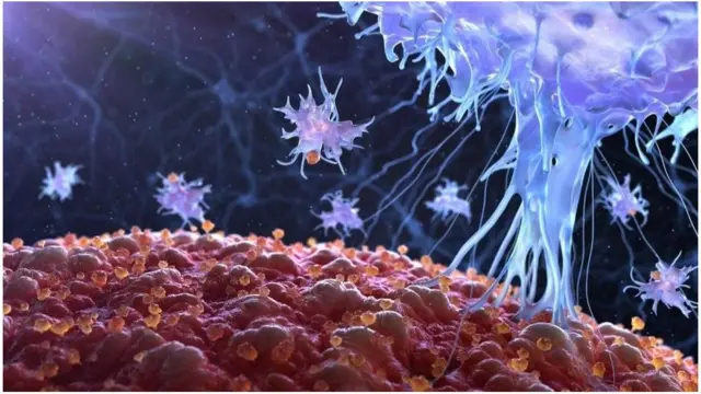 પ્રતીકાત્મક તસવીર