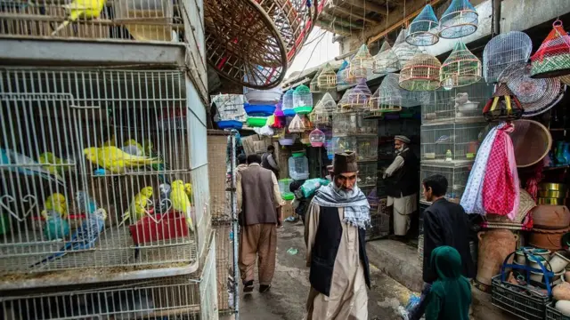 کابل کا پرندہ بازار