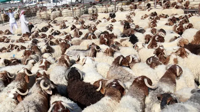 حج اور عیدِ قرباں