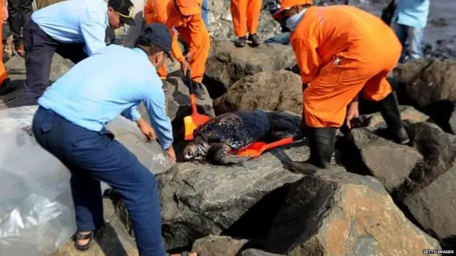 एन्नोर बंदरगाह