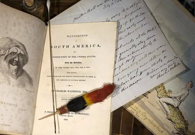 Libros, dibujos y cartas de Charles Waterton