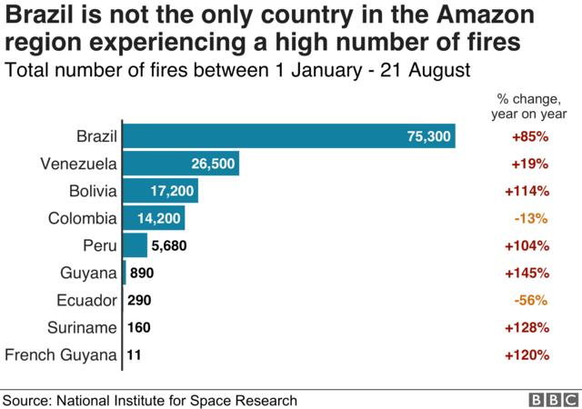 Chart showing the number of fires in other countries in the Amazon region