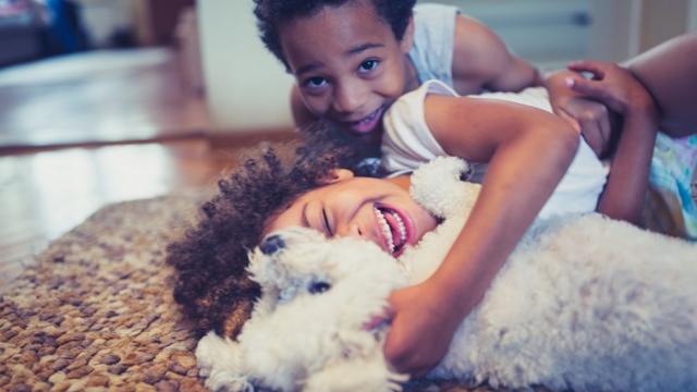 Crianças brincando com cachorro