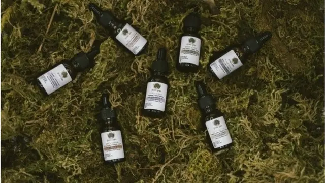 የጫካ ኦሪጂንስ ምርቶች