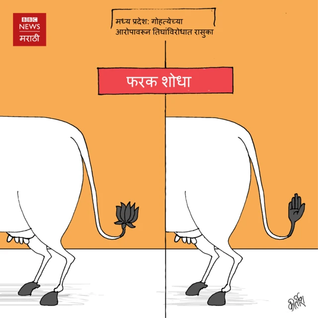 कार्टून