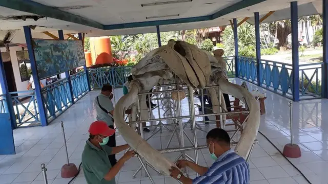 Museum Sulawesi Tenggara