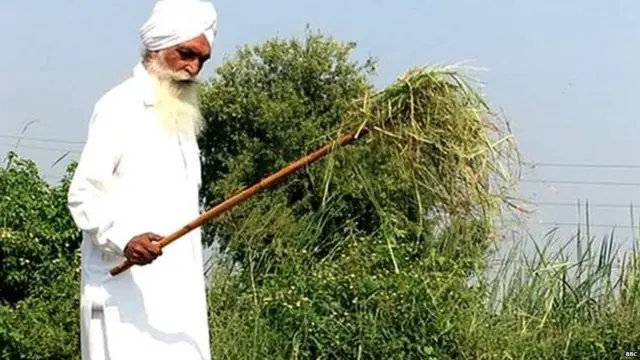 ਕਿਸਾਨ ਲਈ ਪਰਾਲੀ ਕਿਸੇ ਕੰਮ ਨਹੀਂ ਆਉਂਦੀ ਇਸ ਲਈ ਉਸ ਨੂੰ ਸਾੜਨਾ ਉਨ੍ਹਾਂ ਲਈ ਸੌਖਾ ਬਦਲ ਹੈ