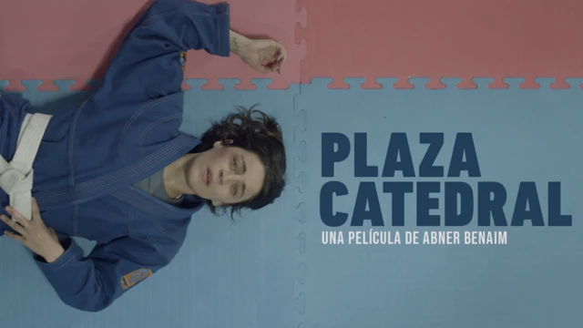 Afiche Plaza Catedral