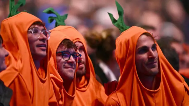 طرفداران یانیک سینر