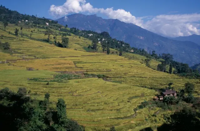 স্বাধীন ভারতের মানচিত্রে শেষবারের মতো যোগ হওয়া কোনও ভূখন্ড হলো সিকিম