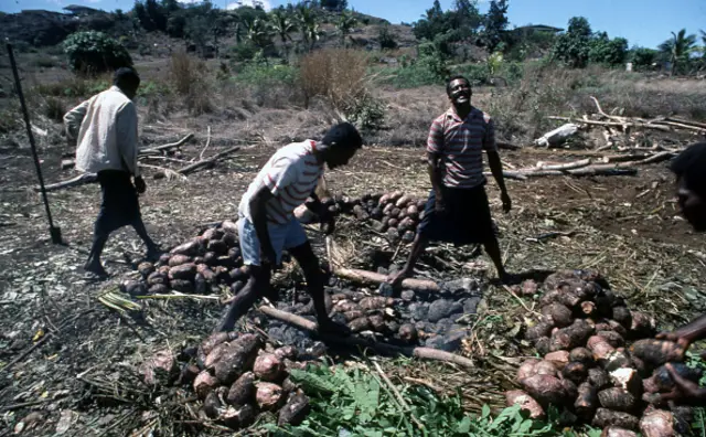 સાબુદાણાનો ઇતિહાસ