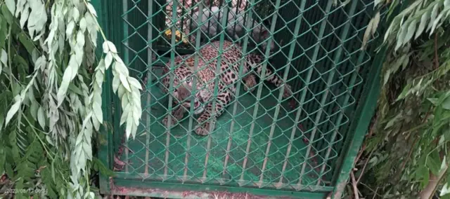 திருப்பதி - திருமலை