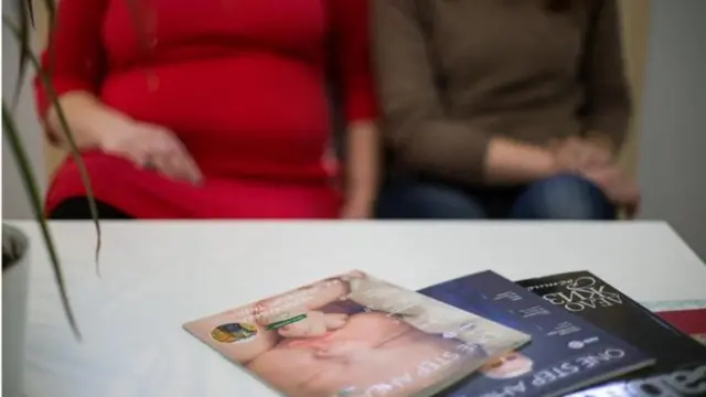 ਸਰੋਗੇਸੀ