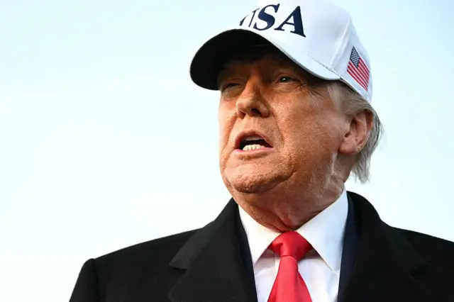 ABD Başkanı Donald Trump portresi. Trump, kafasında USA yazılı bir şapka ile uzağa bakıyor. 