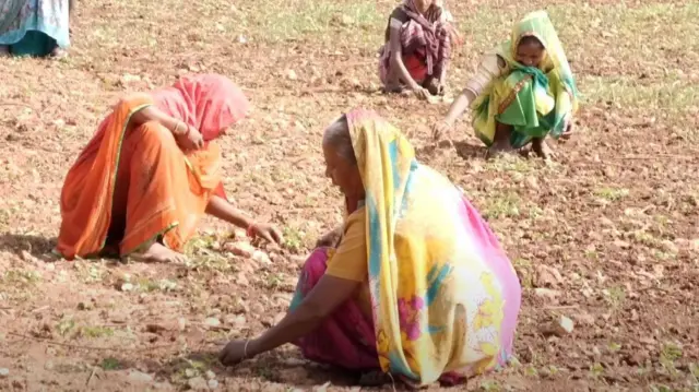 खेती-किसानी