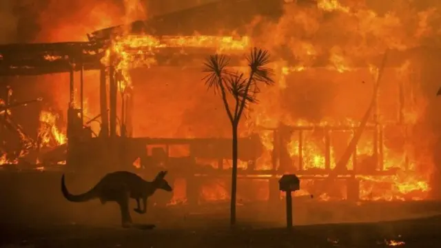 حرائق استراليا