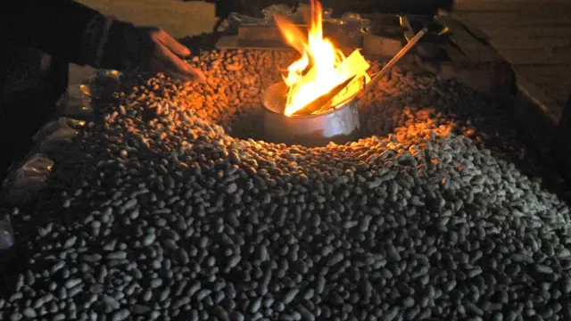 मूंगफली