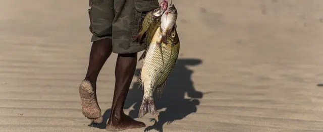 Nama qurxummii qabuun qarqara galaanaatii deemaa jiru