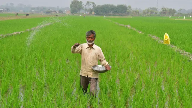 వ్యవసాయం