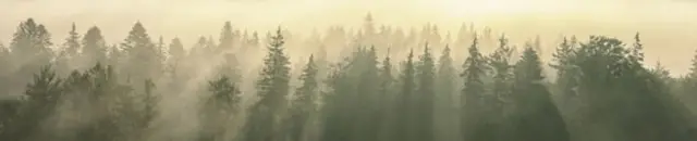 İqlim dəyişikliyi, qlobal istiləşmə, ətraf mühitin qorunması