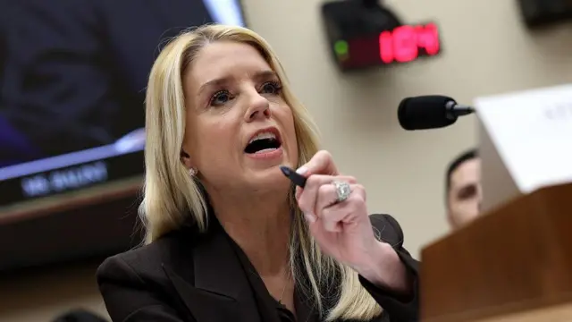 पाम बोंडी