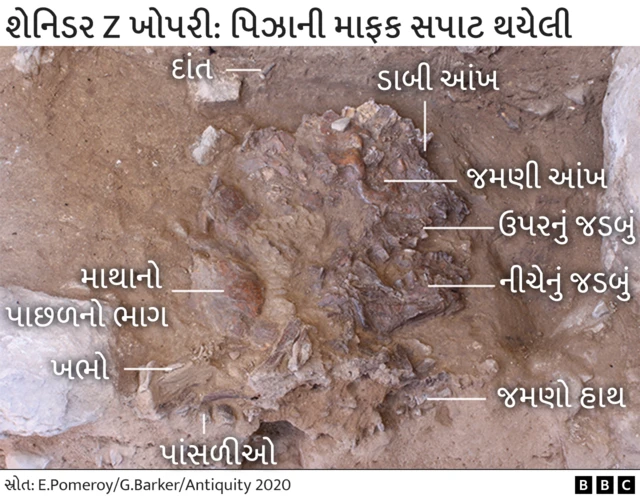 નિએન્ડરથલ્સ, બીબીસી ગુજરાતી