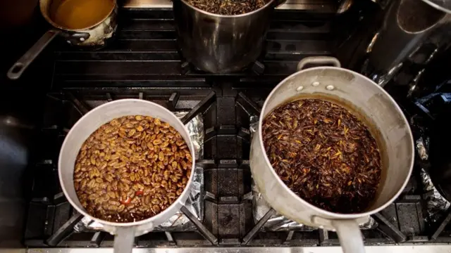 வெட்டுக்கிளிகள் உண்மையில் மாட்டிறைச்சிக்கு மாற்றாக முடியுமா?