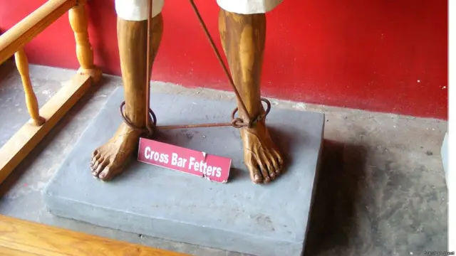 सेल्यूलर जेल