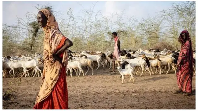 خشکسالی در آفریقا