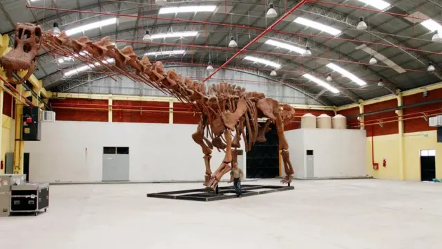 전시된 또다른 공룡 뼈