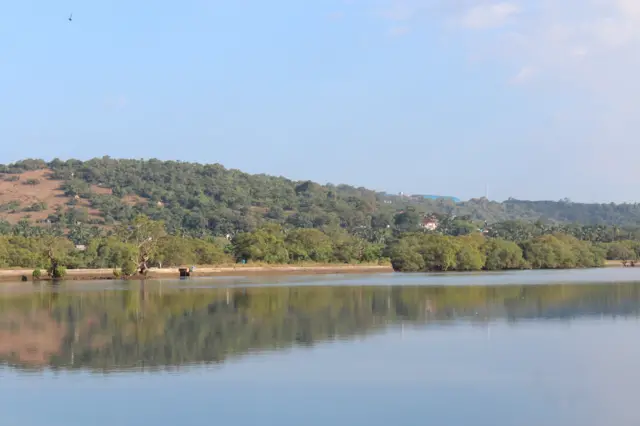 ગોવાના સૂમસા જંગલો, ગેસ્ટહાઉસ, હોટલમાં મહાનંદ મહિલાઓ સાથે સંબંધ બાંધતો