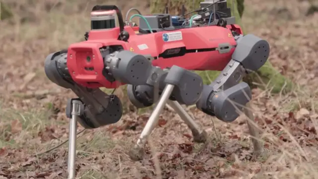 bbc.co.uk - Meet the robot dogs creating maps of forests around the world - CBBC Newsround
