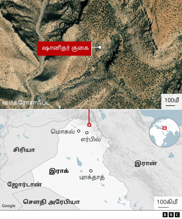 நியாண்டர்தால் 