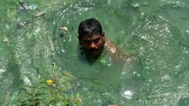 ভারতীয় ডুবুরি শিভা।