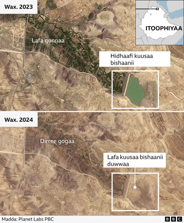 Bakkeewwan beelli itti mudate