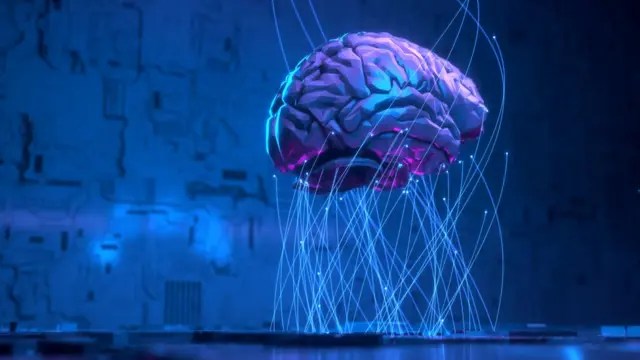 Cerebro
