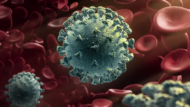 கொரோனா வைரஸ் மாதிரி.