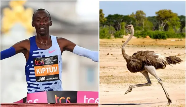 ኬልቪን ኪፕቱምን ሰገን 