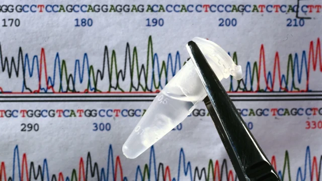 Pour la plupart des autistes, on pense que leur neurodiversité résulte de l'action combinée de milliers de variantes génétiques différentes.