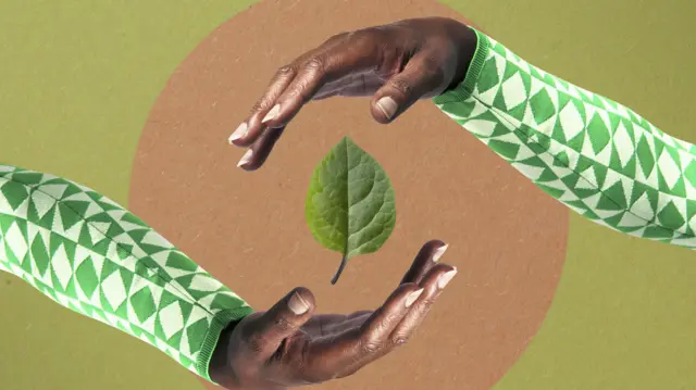 ਵਾਤਾਵਰਣ