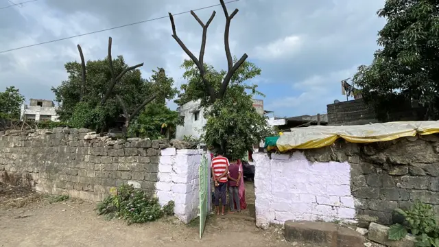 ઉના, વેરાવળ, દીવ, રાવણતાડ, ગુજરાતની વનસંપદા, બીબીસી ગુજરાતી, જૂનાગઢ, કુદરત, પ્રકૃતિ, રાવણતાડ, ખેતી