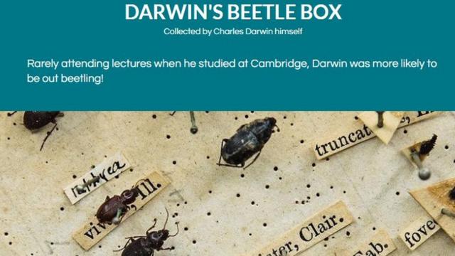 剑桥大学动物博物馆中收藏的达尔文的甲壳虫箱子说明