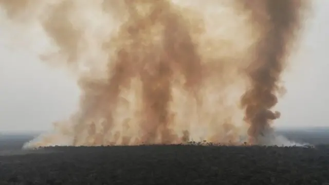 Trecho da Amazônia pegando fogo no Amazonas