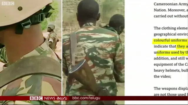 బీబీసీ కామెరూన్ పరిశోధన