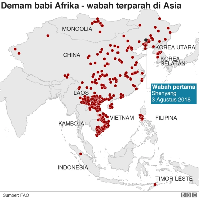 demam babi afrika