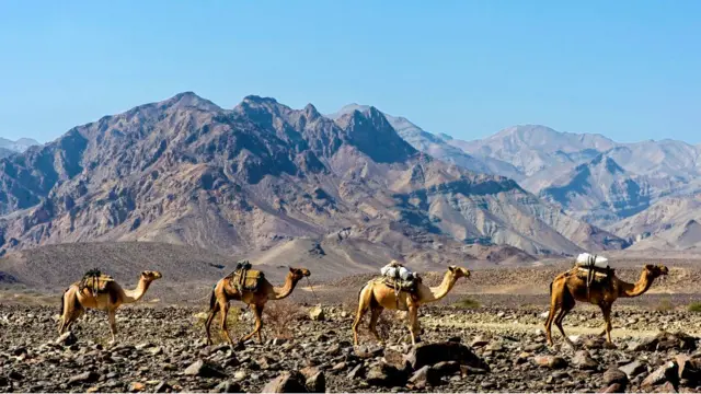 इथिओपिया